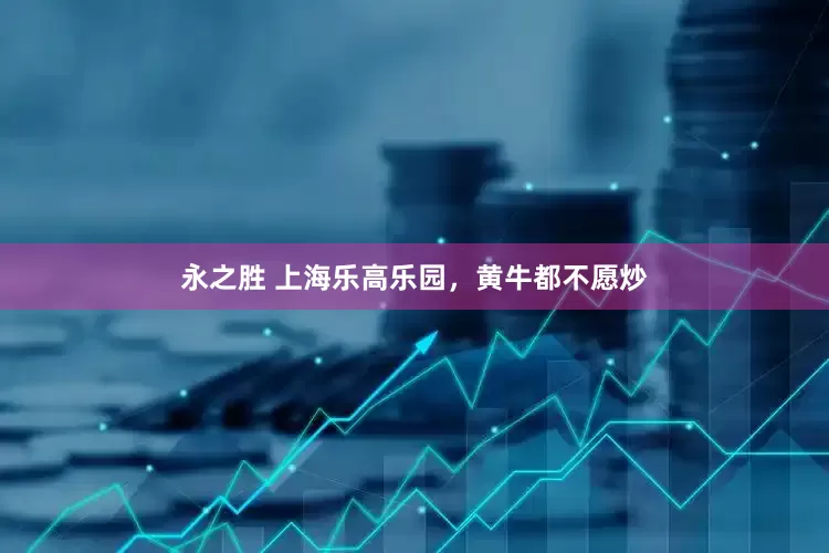 永之胜 上海乐高乐园，黄牛都不愿炒