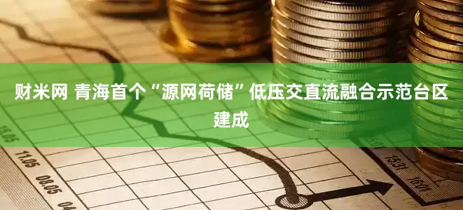 财米网 青海首个“源网荷储”低压交直流融合示范台区建成