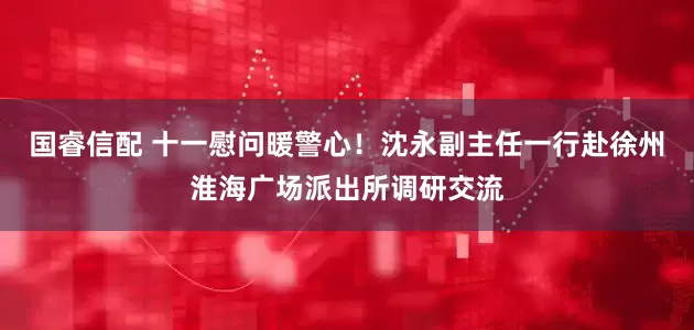 国睿信配 十一慰问暖警心！沈永副主任一行赴徐州淮海广场派出所调研交流